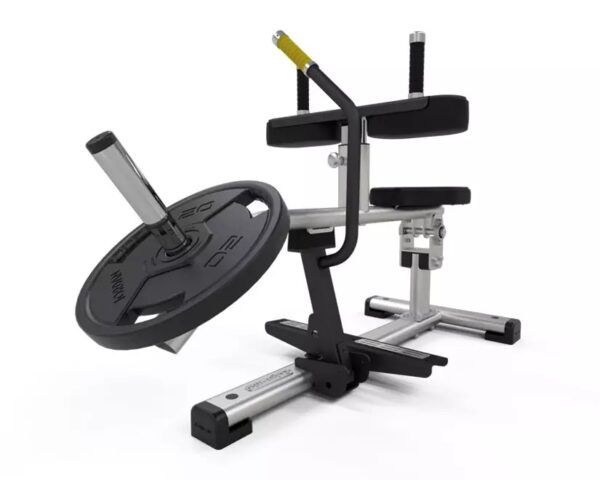 Exigo Iso seated calf raise