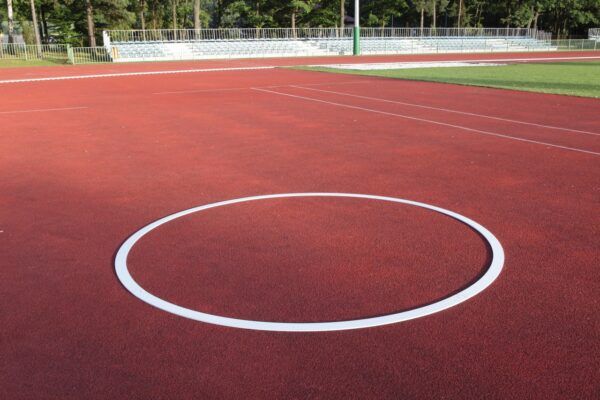 Polanik discus stalen trainingsring