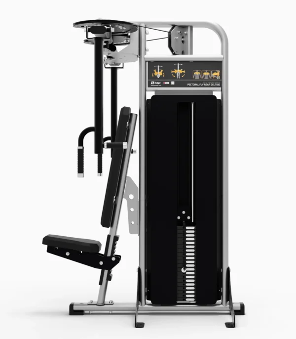 Pectoral Fly / Rear Dealtoid