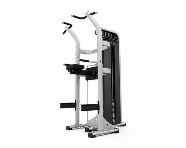 Exigo Assisted Chinning Dipping Station