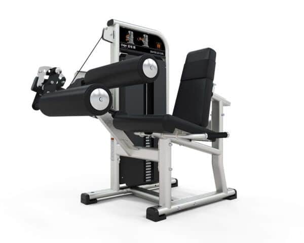 Exigo Seated Leg Curl