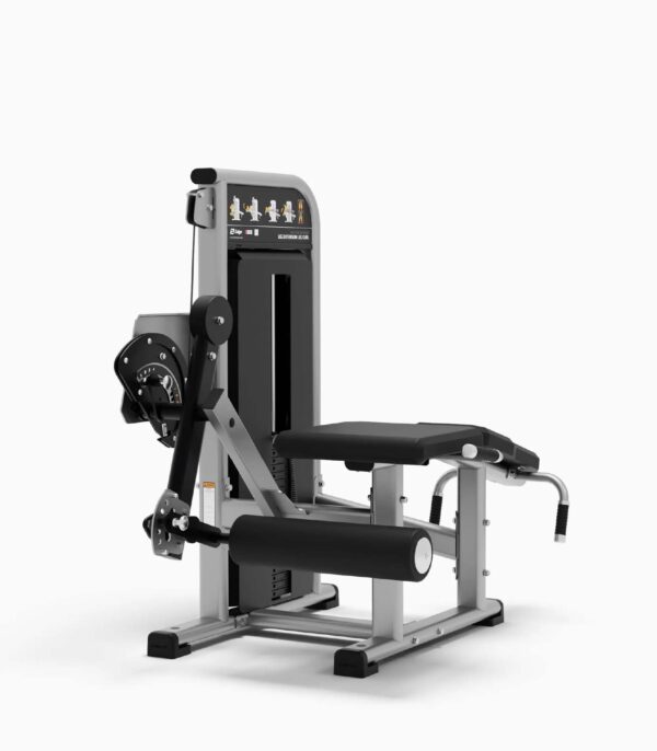 Exigo Leg Extension Leg Curl Combination