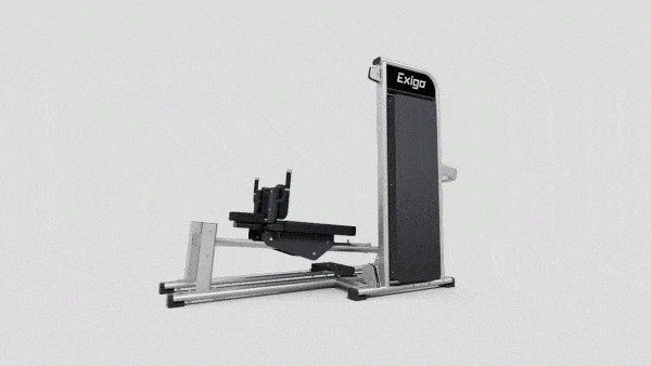 Exigo Recumbent Leg Press