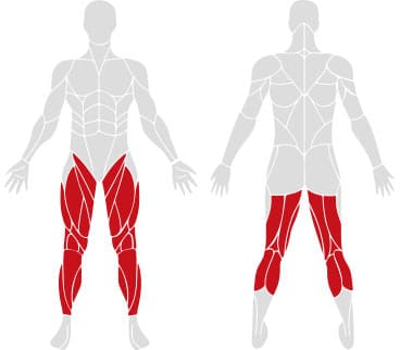 Exigo Squat box