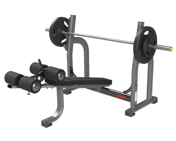 2010-Olympic-Decline-Bench-2