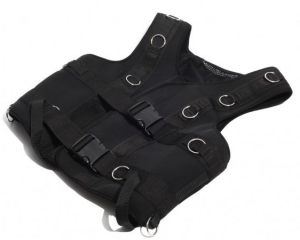 Functional training vest