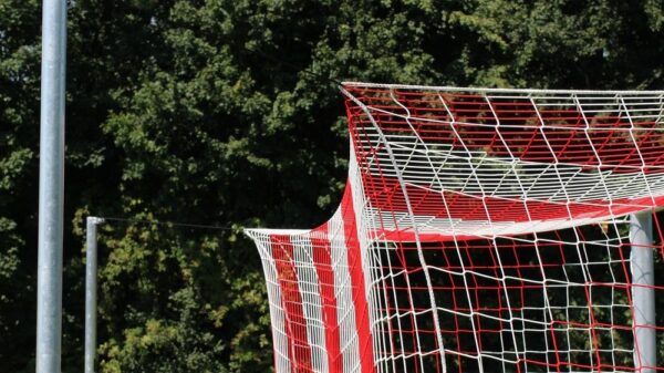 Professioneel Kooidoel met spanstangen 7,32m x 2,44m