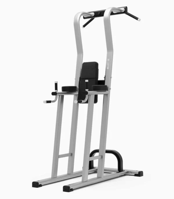 Exigo Chinning/Dipping/Leg Raise Station (Rear)