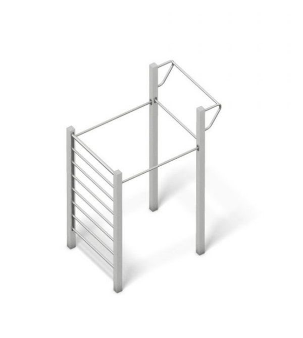 Calisthenics Basic