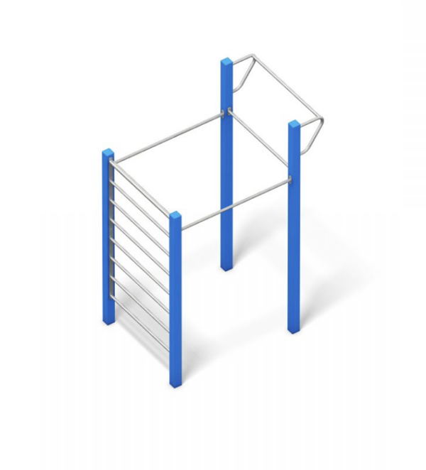 Calisthenics Basic