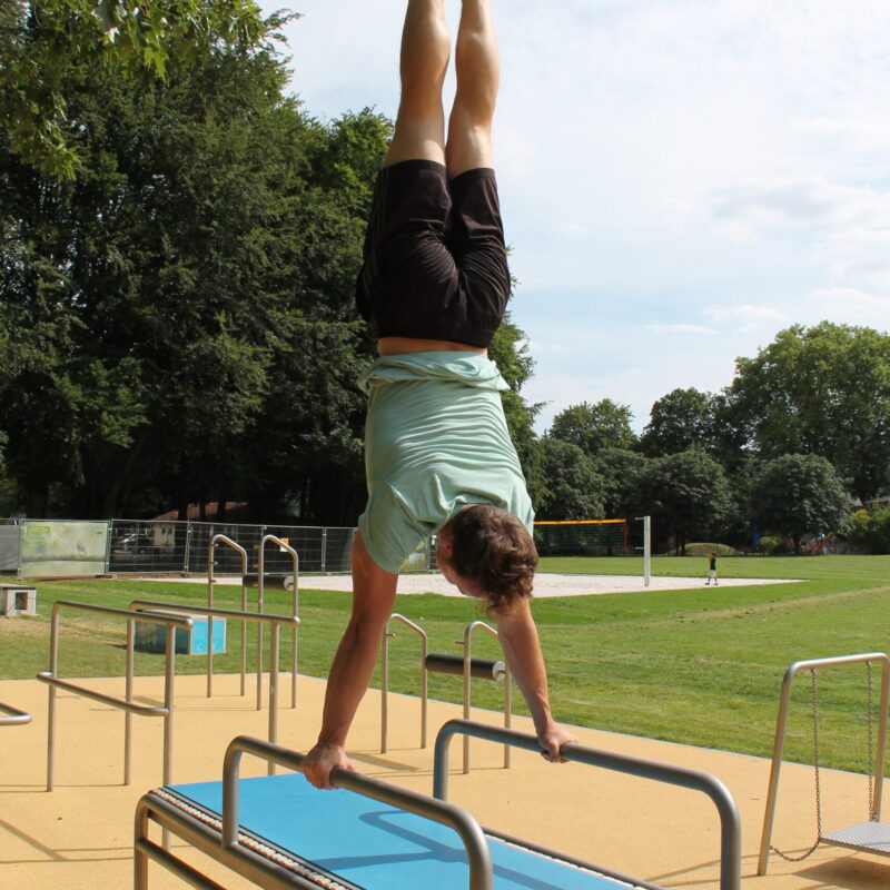 IMG_0716 IMG_0716